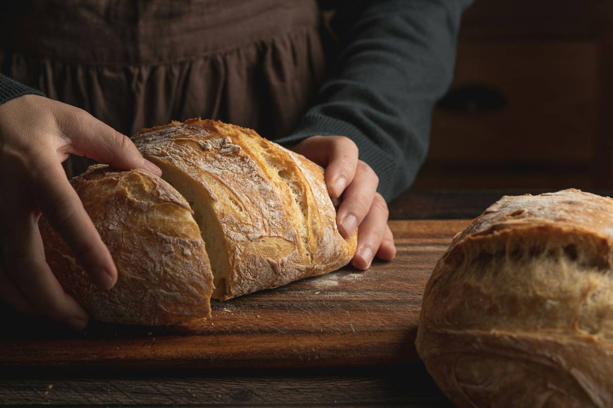 Why Your Home Hardware Store Is Missing Out on the Home Hardware Bread Machines Boom